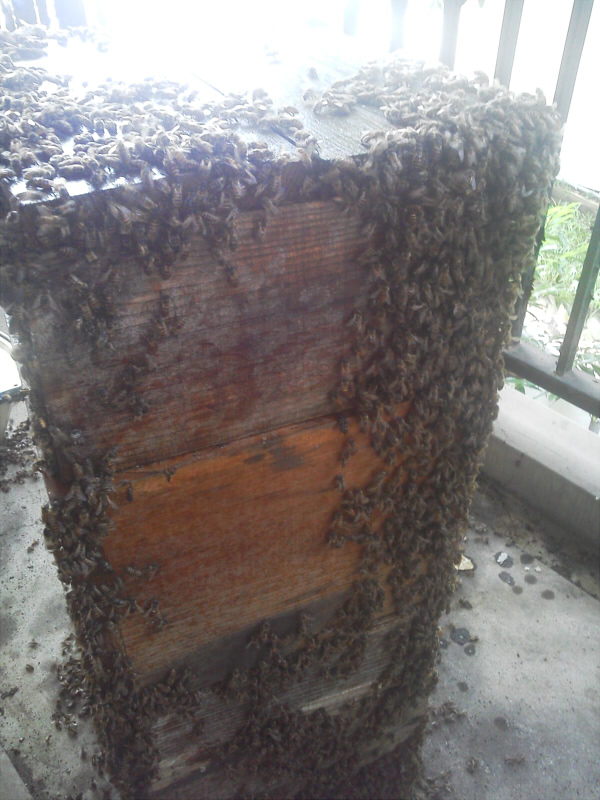 鎌倉朝日新聞社