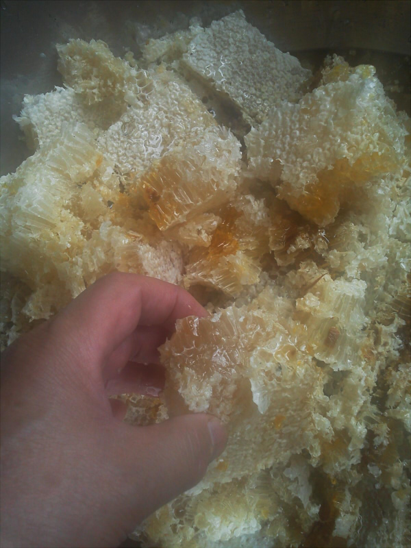 鎌倉朝日新聞社