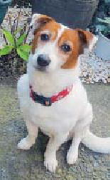 鎌倉朝日新聞社