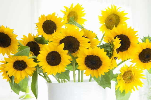 鎌倉朝日新聞社