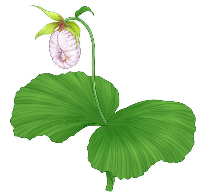 鎌倉朝日新聞社