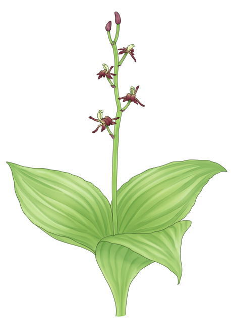 鎌倉朝日新聞社