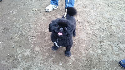 鎌倉朝日新聞社