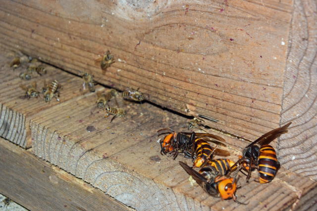 鎌倉朝日新聞社