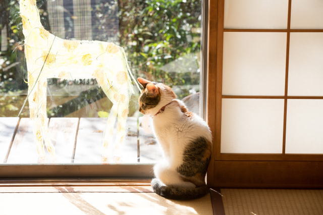 鎌倉朝日新聞社