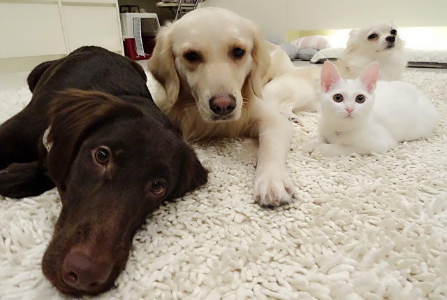 鎌倉朝日新聞社