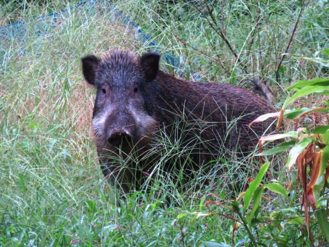 鎌倉朝日新聞社