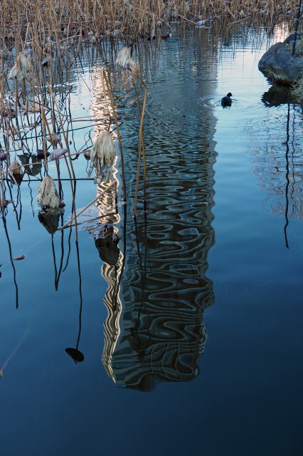 鎌倉朝日新聞社