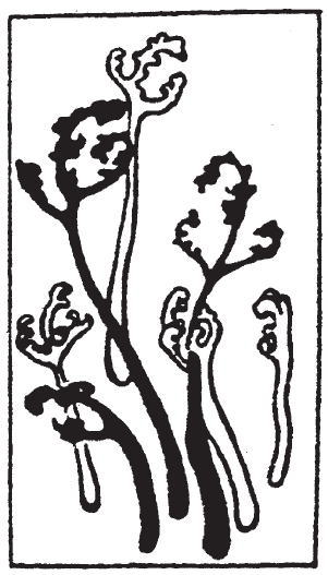 鎌倉朝日新聞社