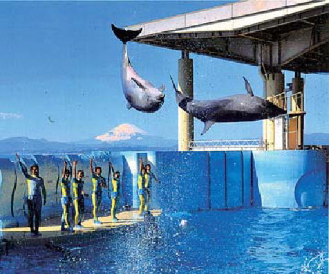 鎌倉朝日新聞社