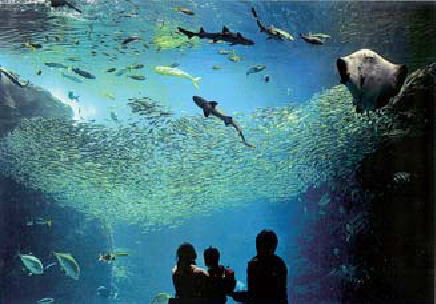 鎌倉朝日新聞社