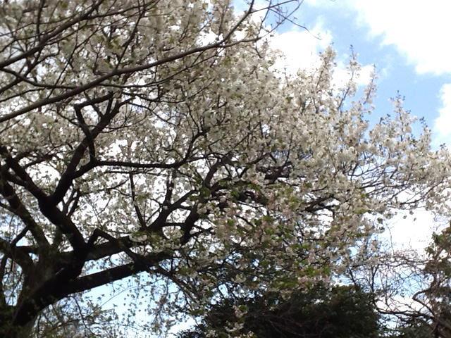 鎌倉朝日新聞社