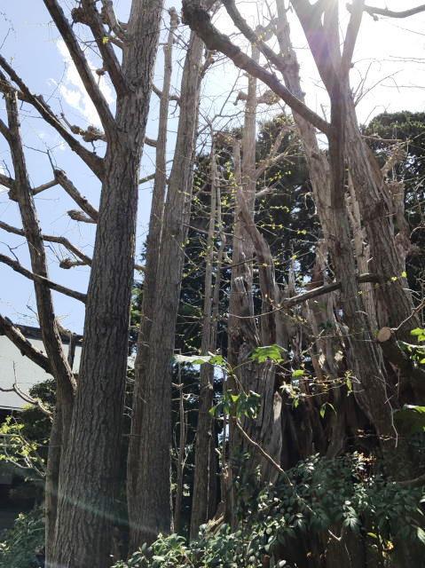 鎌倉朝日新聞社