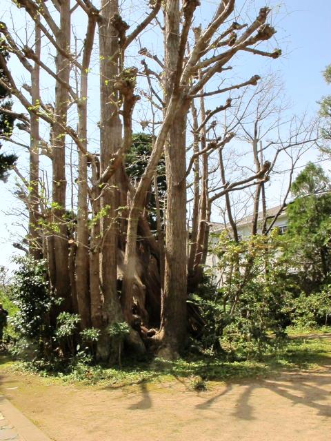 鎌倉朝日新聞社