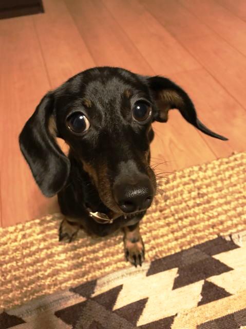 鎌倉朝日新聞社