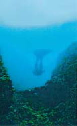 鎌倉朝日新聞社