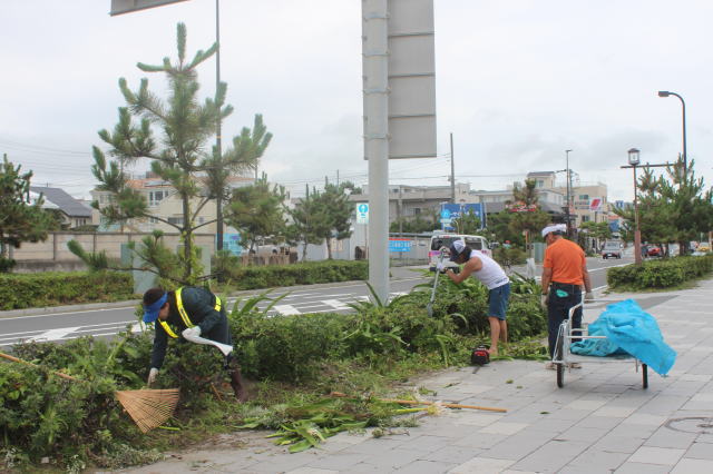 鎌倉朝日新聞社