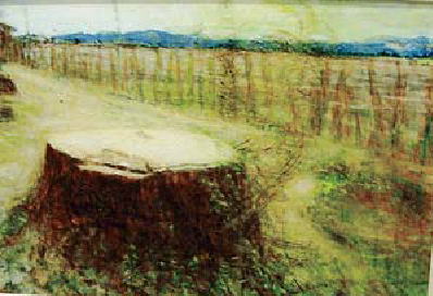 鎌倉朝日新聞社