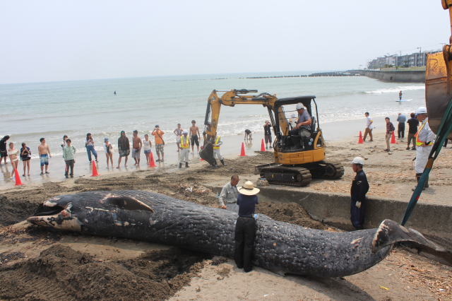鎌倉朝日新聞社