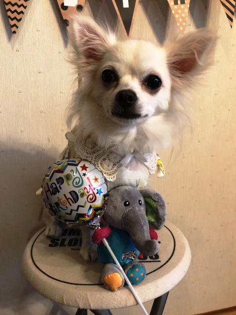 鎌倉朝日新聞社