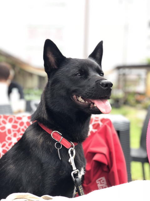 鎌倉朝日新聞社