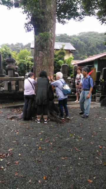 鎌倉朝日新聞社