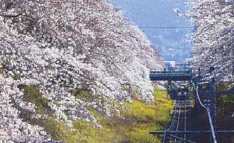 鎌倉朝日新聞社