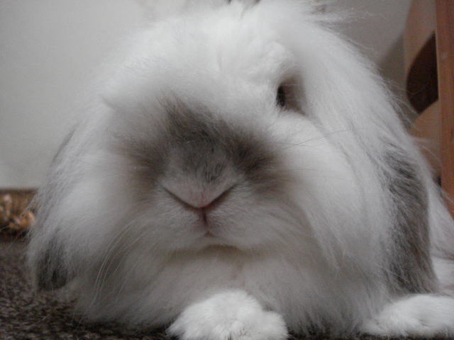 鎌倉朝日新聞社