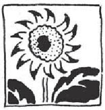 鎌倉朝日新聞社