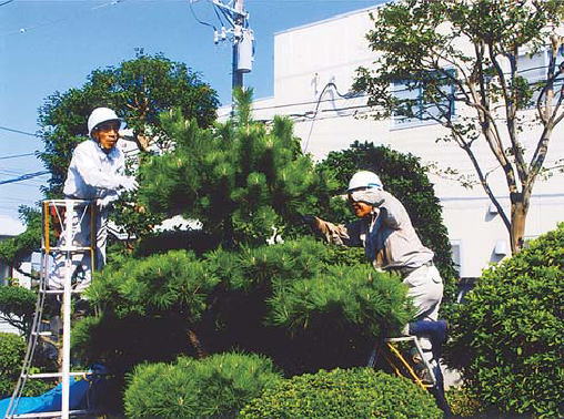 鎌倉朝日新聞社