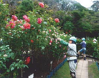 鎌倉朝日新聞社