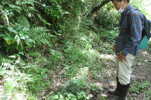 鎌倉朝日新聞社