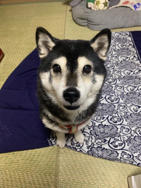 鎌倉朝日新聞社