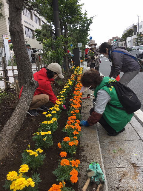 鎌倉朝日新聞社
