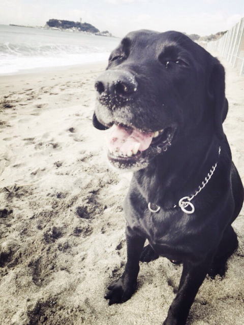 鎌倉朝日新聞社