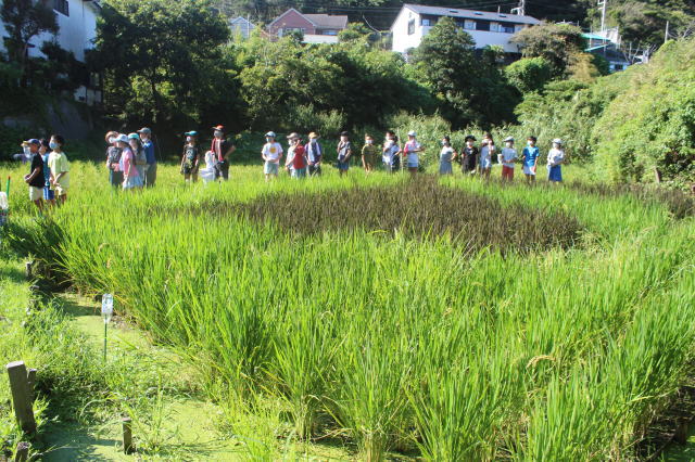 鎌倉朝日新聞社