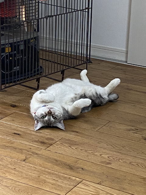 鎌倉朝日新聞社