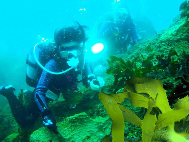 鎌倉朝日新聞社