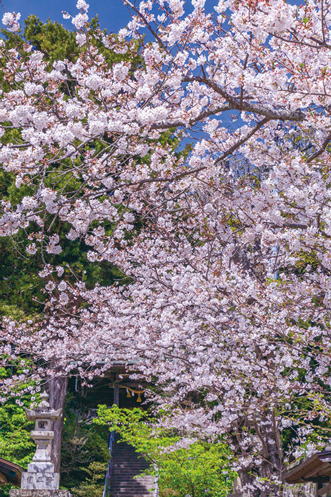 鎌倉朝日新聞社