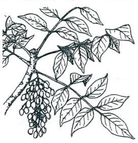 鎌倉朝日新聞社