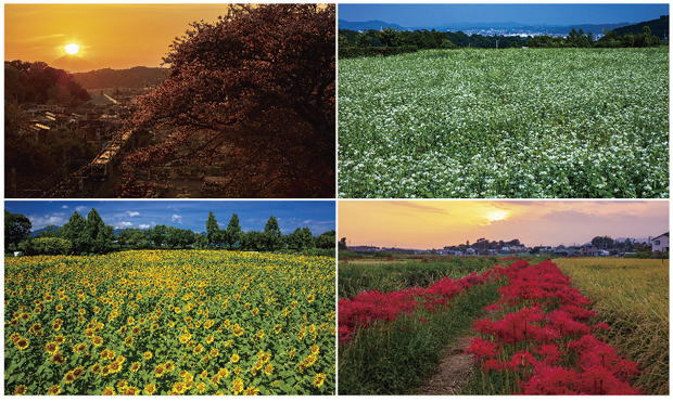 鎌倉朝日新聞社