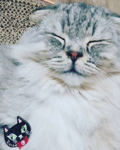 鎌倉朝日新聞社