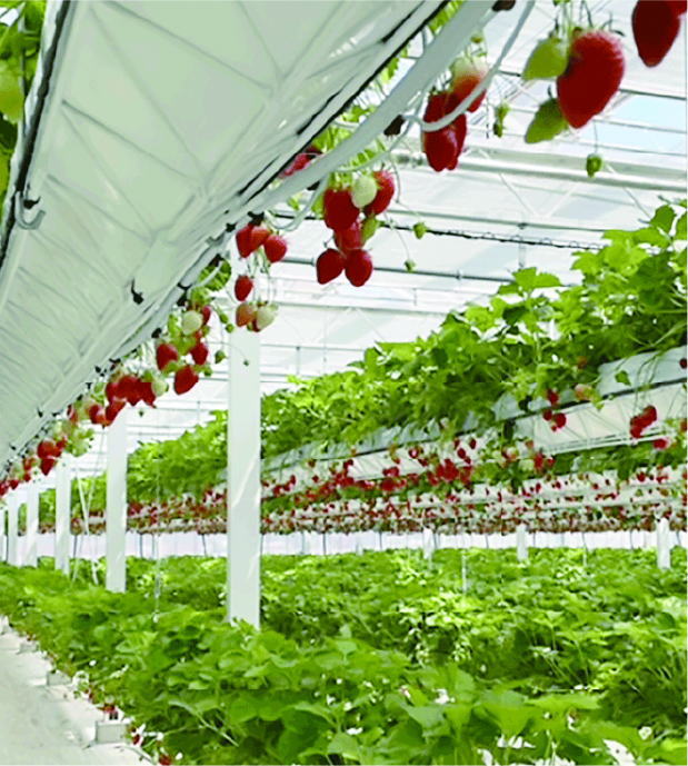 鎌倉朝日新聞社