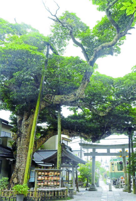 鎌倉朝日新聞社