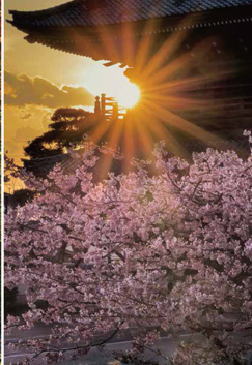 鎌倉朝日新聞社