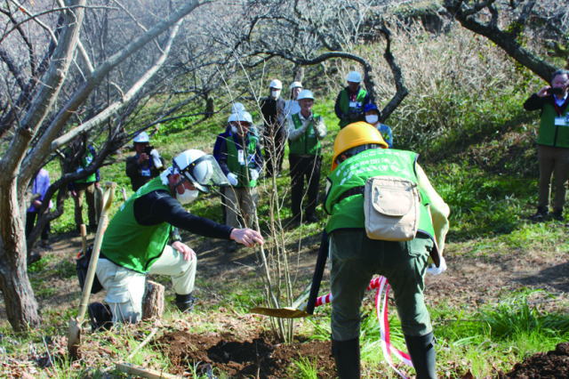鎌倉朝日新聞社