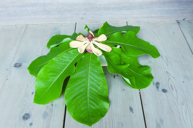 鎌倉朝日新聞社