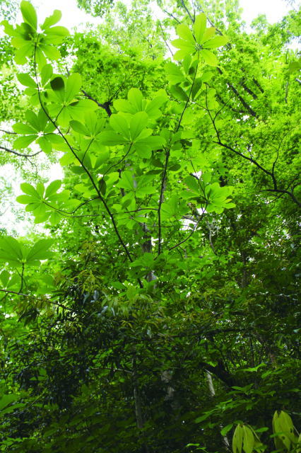 鎌倉朝日新聞社