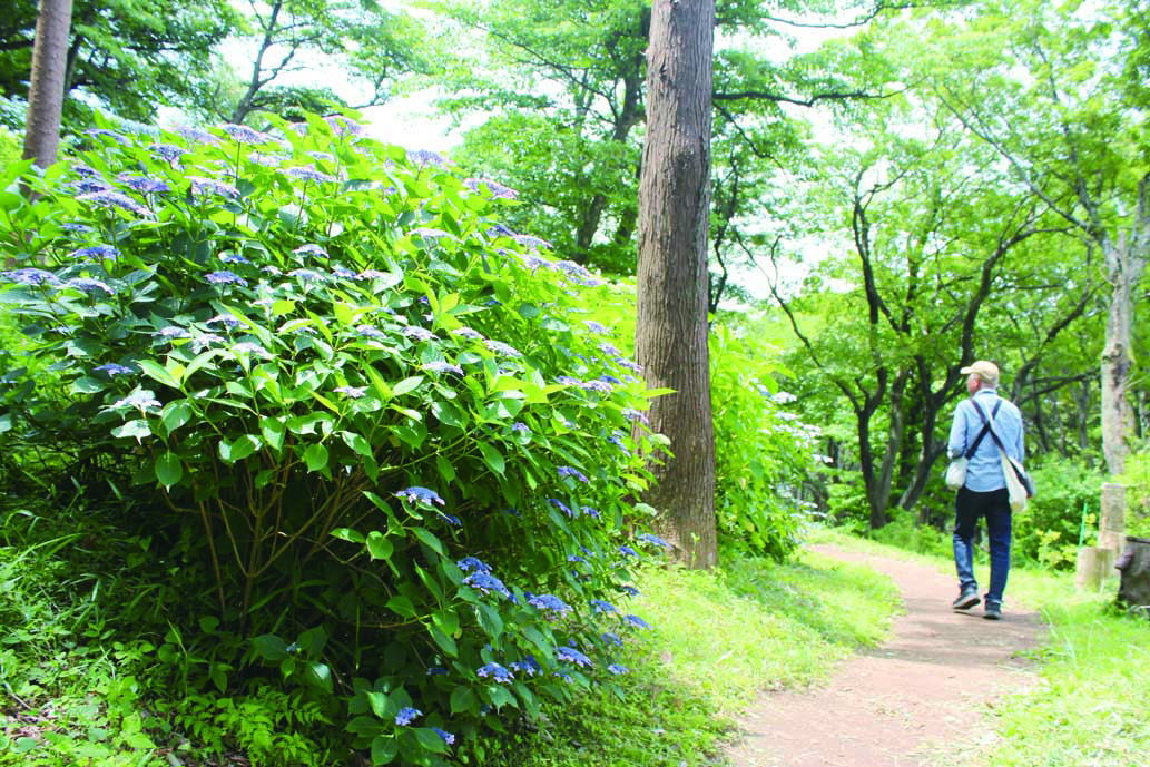 鎌倉朝日新聞社