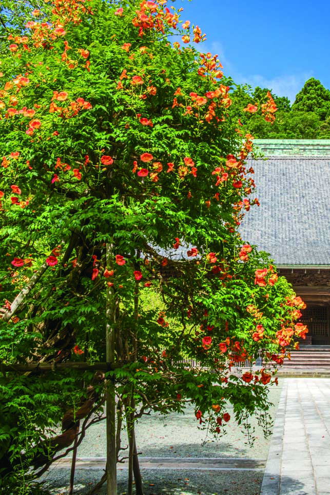 鎌倉朝日新聞社